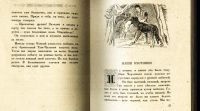 Лот: 17968738. Фото: 12. Тува.*Тока Салчак. В берестяном...