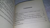 Лот: 10836906. Фото: 3. Поурочные разработки по русскому... Литература, книги