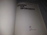 Лот: 21441735. Фото: 2. (209239)Песков В. Птицы на проводах... Литература, книги