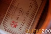 Лот: 16876720. Фото: 7. Zen-On ZG-250 Classical
