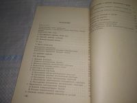 Лот: 25899517. Фото: 3. OzЮ/ВбР(4092399)Норк О.А., Милюкова... Литература, книги