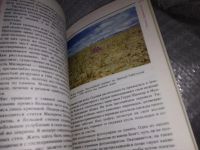 Лот: 16292790. Фото: 5. Дикарев А.Д., Лукин А.В., Три...