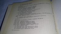 Лот: 10496648. Фото: 6. История государства и права зарубежных...