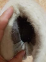 Лот: 10067246. Фото: 3. Валенки котофей. Дети растут