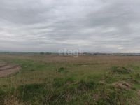 Лот: 25290027. Фото: 8. участок , ДНТ Огни Енисея ДНТ...