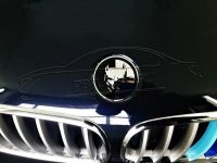 Лот: 13277967. Фото: 2. Эмблема Питбуль на БМВ из нерж... Автохимия, масла, тюнинг