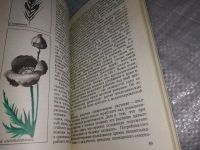 Лот: 10448335. Фото: 9. Наука и лекарственные растения...