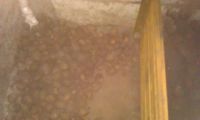 Лот: 4191857. Фото: 2. Картофель. Продукты