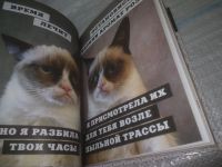 Лот: 25431422. Фото: 9. вб(4092360)Grumpy Cat . Сердитая...