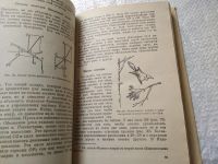 Лот: 10068467. Фото: 20. Книга-перевертыш. Занимательная...