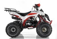 Лот: 25659259. Фото: 8. Квадроцикл MOTAX ATV Raptor Super...