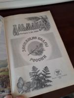 Лот: 19162325. Фото: 2. Альманах 2004 выпуск 2-6 Формула... Справочная литература