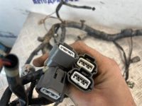 Лот: 24591861. Фото: 21. проводка подкапотная Nissan Almera...