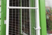 Лот: 11705544. Фото: 2. Выгул-решетка на окно. Двери, окна, фурнитура