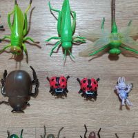 Лот: 17782645. Фото: 3. Игровой набор Насекомые. Дети растут