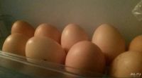 Лот: 13504716. Фото: 2. Домашние яйца от своих курочек. Продукты