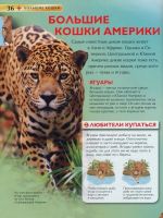 Лот: 7528700. Фото: 3. Большие кошки" Новое!. Литература, книги