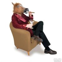 Лот: 9355549. Фото: 3. маска коня лошади сумасшедшая... Новый год!