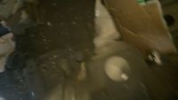 Лот: 12723943. Фото: 3. Ваз 2111 2110 2112 Кпп вылетает... Авто, мото, водный транспорт