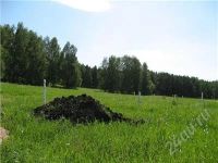 Лот: 1782018. Фото: 2. Участок Элита. 25 соток. Граничит... Продажа