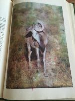 Лот: 6899016. Фото: 3. Клычев А. "Красота солнечного... Литература, книги