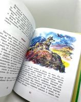 Лот: 23548991. Фото: 4. 📗 Николай Сладков. Лесные тайнички... Красноярск