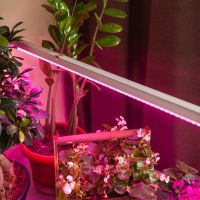 Лот: 19910876. Фото: 2. Светильник ЭРА для растений T5-N-FITO... Освещение