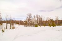 Лот: 25294810. Фото: 3. участок , ДНТ Чёрная Сопка ДНТ... Недвижимость