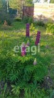 Лот: 25283953. Фото: 17. 1-комн. дача , садоводческое некоммерческое...