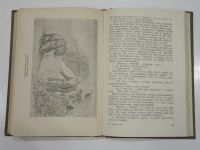 Лот: 19633675. Фото: 5. винтажная книга Гаршин сочинения...