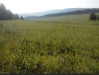 Лот: 25008777. Фото: 2. Земельный участок. Продажа