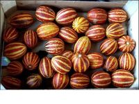 Лот: 8707612. Фото: 7. Семена экзотических томатов и...