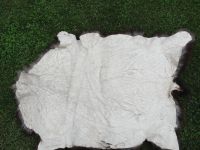 Лот: 7992682. Фото: 3. Шкура медведя. Туризм, охота, рыбалка, самооборона