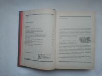 Лот: 24621337. Фото: 4. Блох Иоганн "История проституции... Красноярск