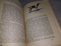 Лот: 19140024. Фото: 6. Сабанеев Л. Календарь природы...