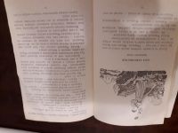 Лот: 12793035. Фото: 6. Три арбузных семечка 1987 СССР...