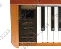 Лот: 6174833. Фото: 3. Куплю цифровое пианино Casio Privia... Музыкальные инструменты и оборудование