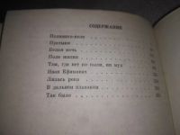 Лот: 21542986. Фото: 3. (1092367)Кожевников В.М. Лилась... Красноярск
