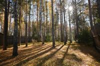 Лот: 25731822. Фото: 5. 4-комн. дом , садоводческое некоммерческое...