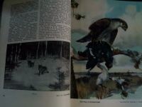 Лот: 20093746. Фото: 17. Журнал Охота и охотничье хозяйство...