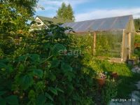 Лот: 25288714. Фото: 14. 1-комн. дача , деревня Вечерницы...