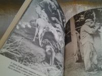 Лот: 5716271. Фото: 3. Белый тапир и другие ручные животные... Литература, книги