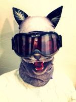 Лот: 6274206. Фото: 5. Балаклава V ARC Grey Cat - в наличии...