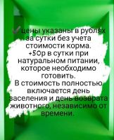 Лот: 17554072. Фото: 8. Гостиница для собак