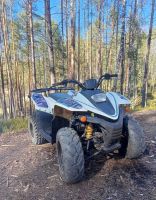 Лот: 25650280. Фото: 4. Квадроцикл BALTMOTORS Jam 100... Красноярск