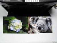 Лот: 10865124. Фото: 6. Струйный принтер Epson Stylus...