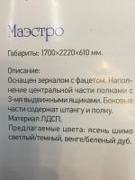 Лот: 7781612. Фото: 2. Шкаф-купе "маэстро". Хранение вещей