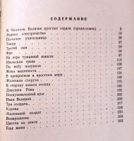 Лот: 19959165. Фото: 3. Платонов Андрей - Июльская гроза... Красноярск