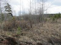 Лот: 3952729. Фото: 2. Участок в Емельяновском районе. Продажа