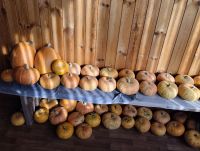 Лот: 25882289. Фото: 2. Тыква. Продукты